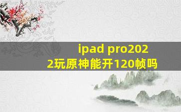 ipad pro2022玩原神能开120帧吗